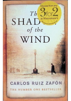 The shadow of the wind
