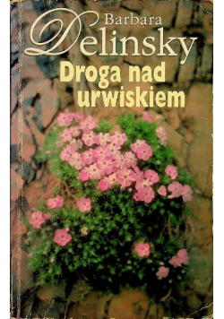 Droga nad urwiskiem