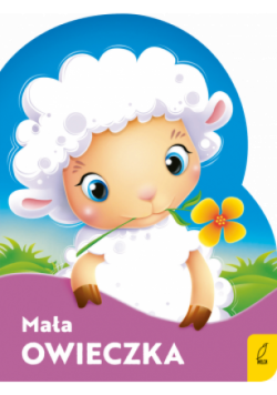 Mała owieczka