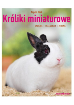 Króliki miniaturowe