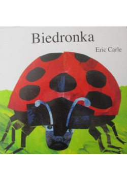 Biedronka