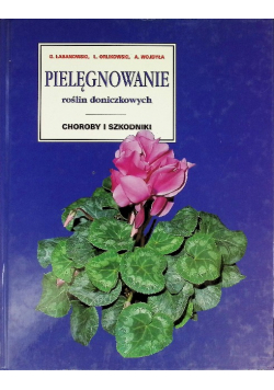 Pielęgnowanie roślin doniczkowych