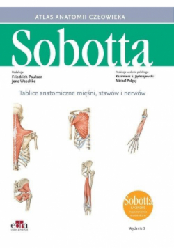Tablice anatomiczne mięśni, stawów i nerwów