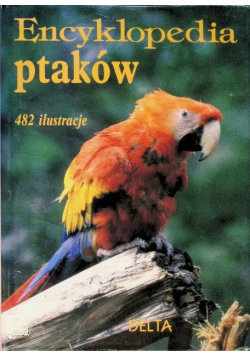 Encyklopedia ptaków 482 ilustracje
