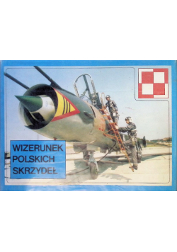 Wizerunek polskich skrzydeł