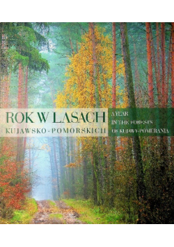 Rok w lasach kujawsko pomorskich