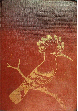 Atlas ptaki Polski