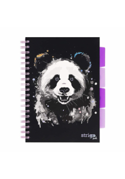 Kołozeszyt Pads B5/100K kratka Panda