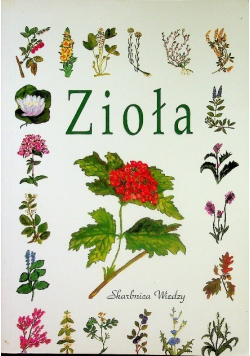 Zioła