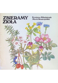 Zbieramy zioła