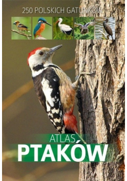 Atlas ptaków