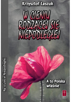 W cieniu rodzącej się Niepodległej
