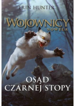 Osąd Czarnej Stopy