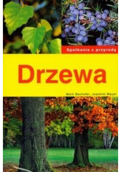 Drzewa