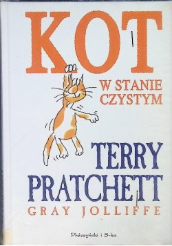 Kot w stanie czystym