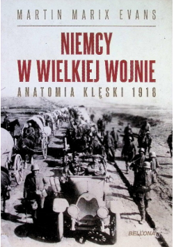 Niemcy w wielkiej wojnie
