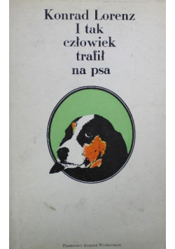 I tak człowiek trafił na psa