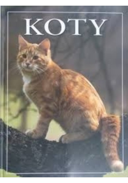 Koty