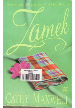 Zamek