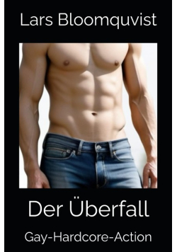 Der Uberfall: Gay-Hardcore-Action