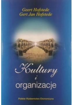 Kultury i organizacje