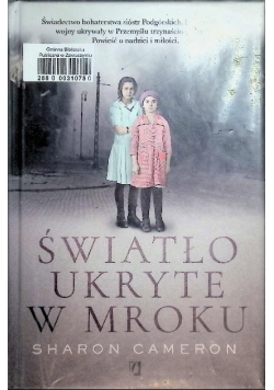Światło ukryte w mroku