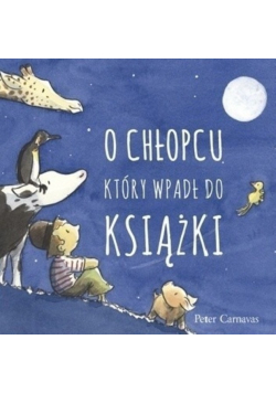 O chłopcu który wpadł do książki