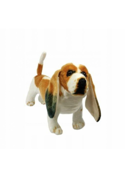 Pies basset 44cm