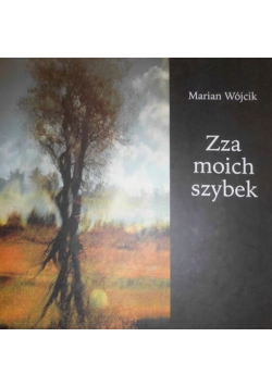 Zza moich szybek