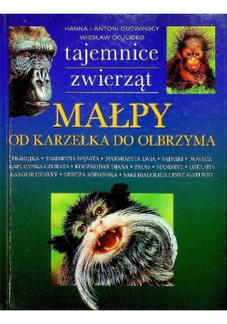 Małpy od karzełka do olbrzyma