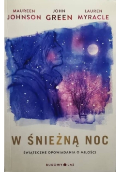 W śnieżną noc