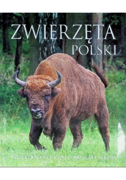 Zwierzęta Polski