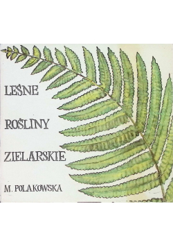 Leśne rośliny zielarskie