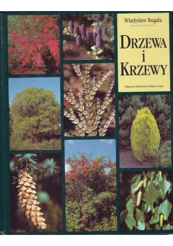 Drzewa i krzewy