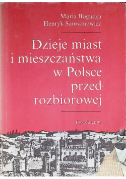 Dzieje miast i mieszczaństwa w Polsce przedrozbiorowej