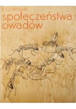 Społeczeństwa owadów