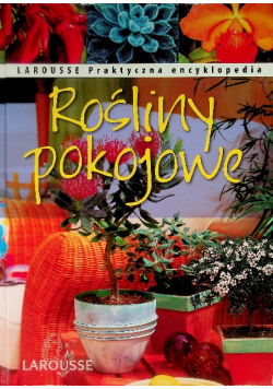 Rośliny pokojowe