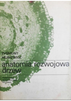 Anatomia rozwojowa drzew