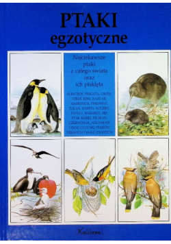 Ptaki egzotyczne