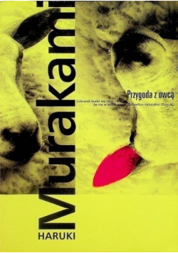 Przygoda z owcą