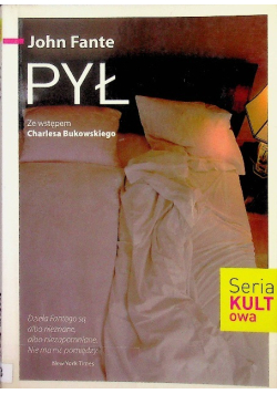 Pył