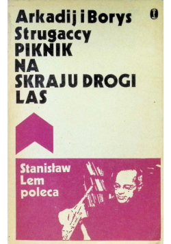 Piknik na skraju drogi las