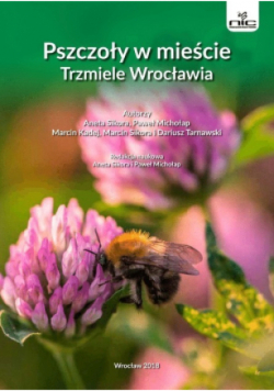 Pszczoły w mieście Trzmiele Wrocławia