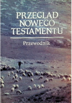 Przegląd Nowego Testamentu Przewodnik