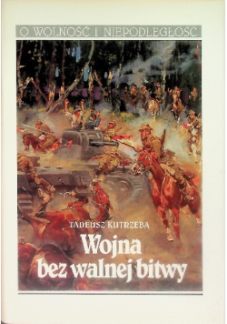 Wojna bez walnej bitwy