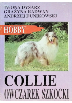 Collie Owczarek Szkocki