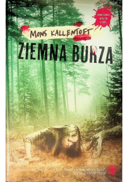 Ziemna burza
