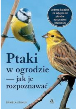 Ptaki w ogrodzie jak je rozpoznać