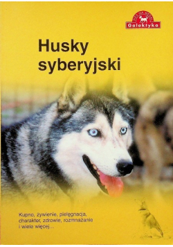 Husky syberyjski