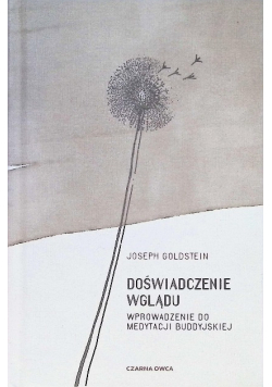 Doświadczenie wglądu